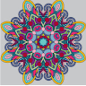 Meet your Posher, Jaymie